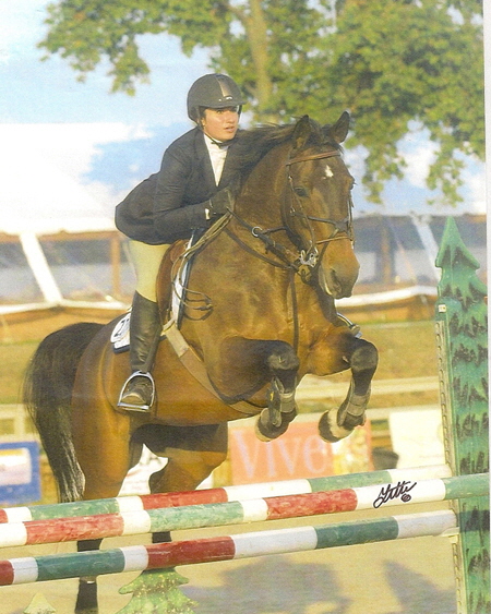 Jumper_horse_for_sale_-_Maria_jumping